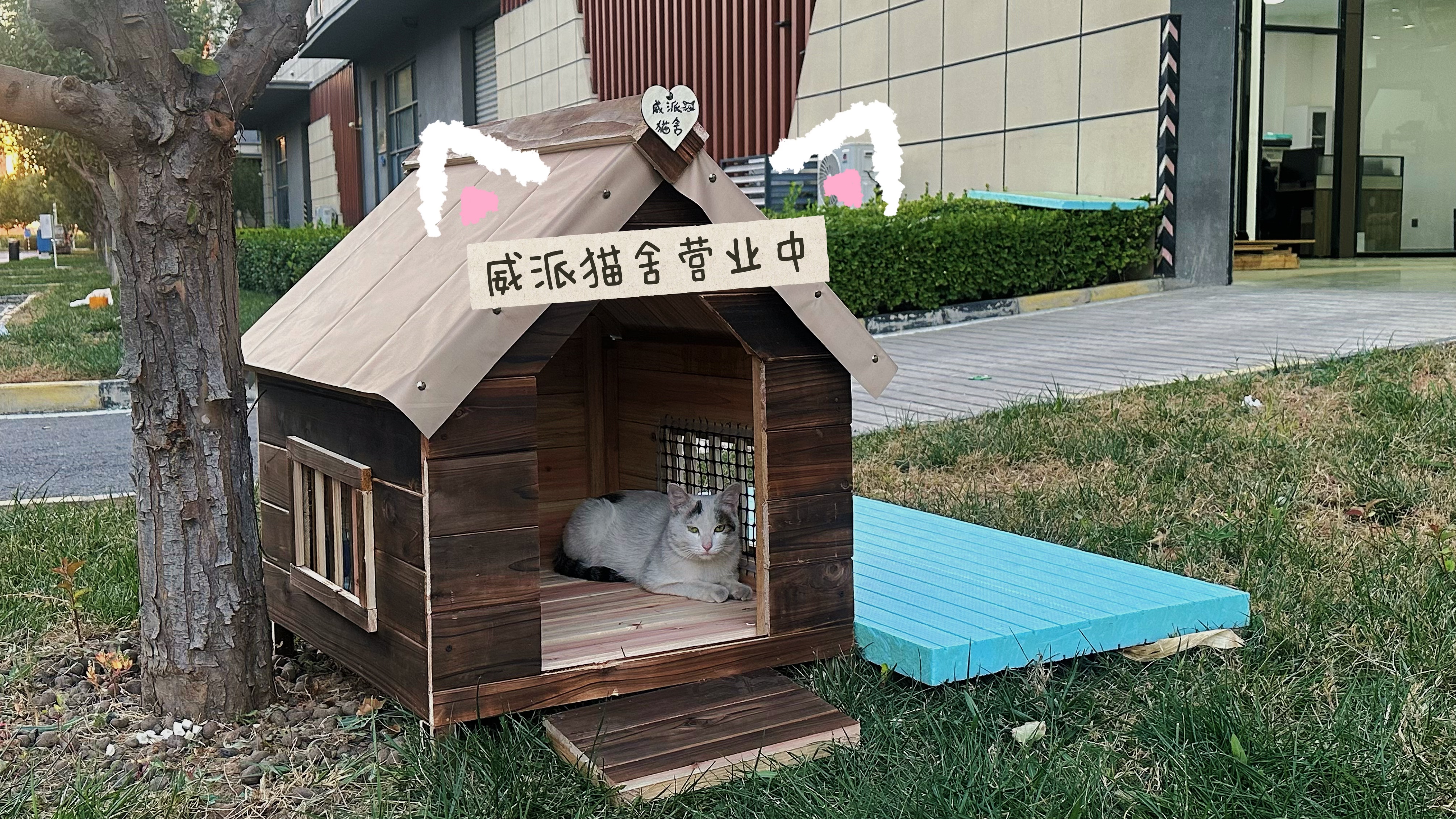 待编辑